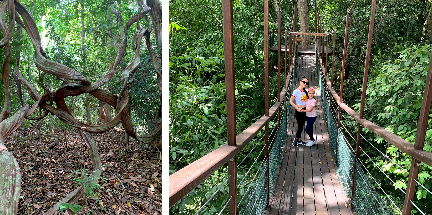 the-datai-langkawi-17